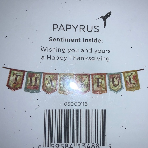 Papyrus Thanksgiving Day banner card Thankful new - Picture 2 of 2
